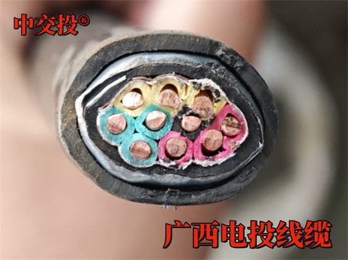 ZRA-KVVP2-22 屏蔽控制电缆